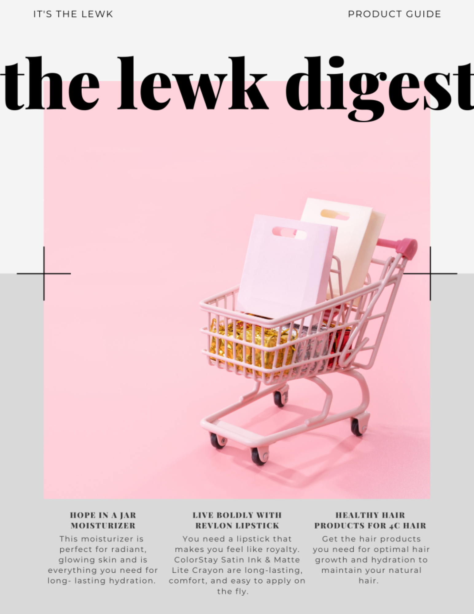the LEWK Digest newsletter flyer